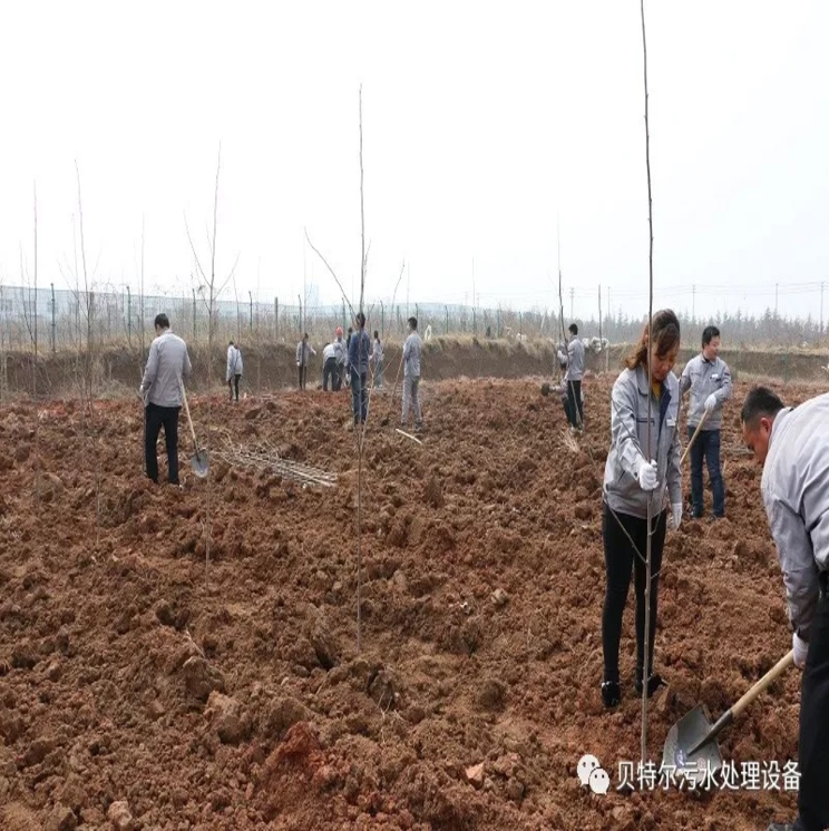 貝特環(huán)保開展“積極參加義務植樹，建設美麗貝特環(huán)保”活動